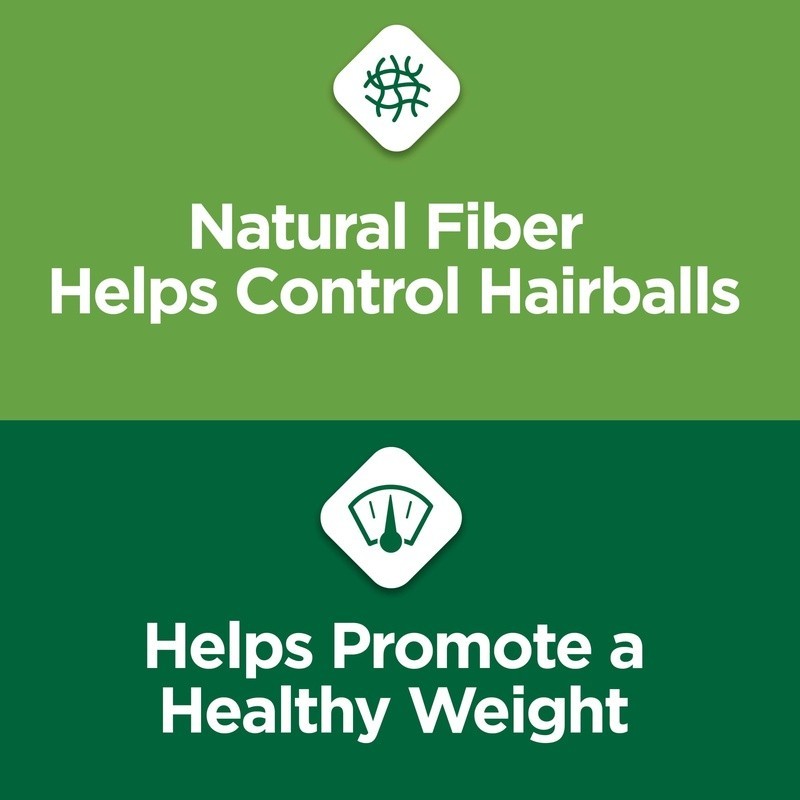 Indoor Hairball Control Healthy Weight Chicken Dry Cat Food Kibble New