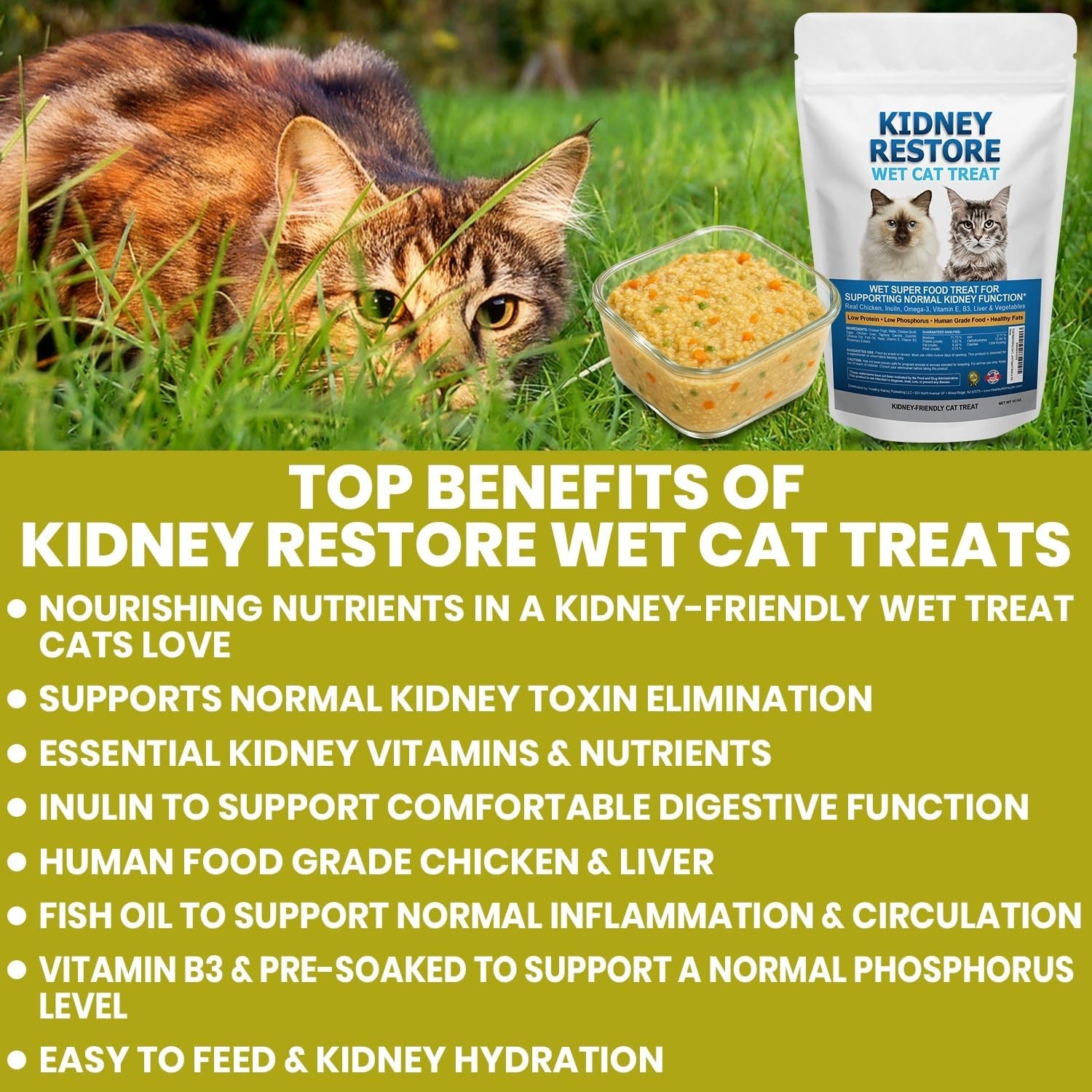 Fresh Made Kidney Care Cat Treat Wet Low Sodium Phosphorus Feline Renal Support