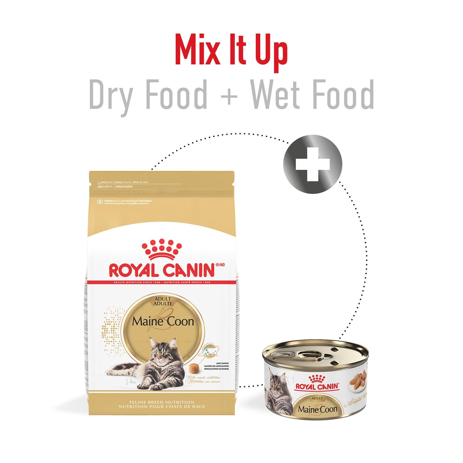 Royal Canin Feline Breed Nutrition Maine Coon Adult Dry Cat Food 6 Lb Bag 543906