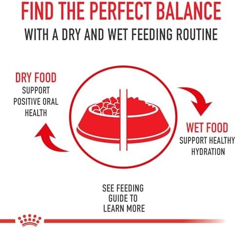 Royal Canin Feline Breed Nutrition Maine Coon Adult Thin Slices in Gravy Cat Foo