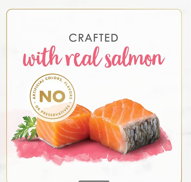 Fancy Feast Grain Free Gourmet Naturals Salmon Pate Wet Kitten Food 3 oz, 48 Can