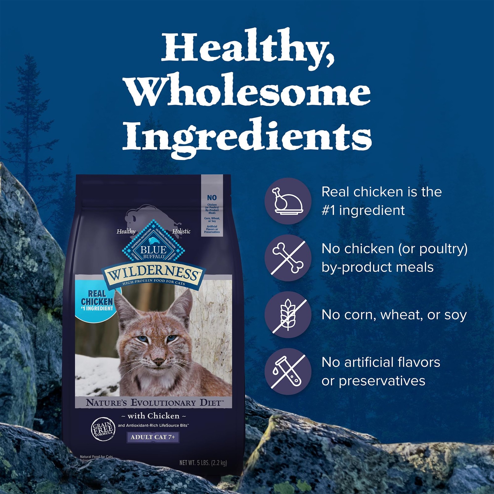 Blue Buffalo Wilderness Natural Mature Dry 5 Pound (Pack of 1), Black-v125