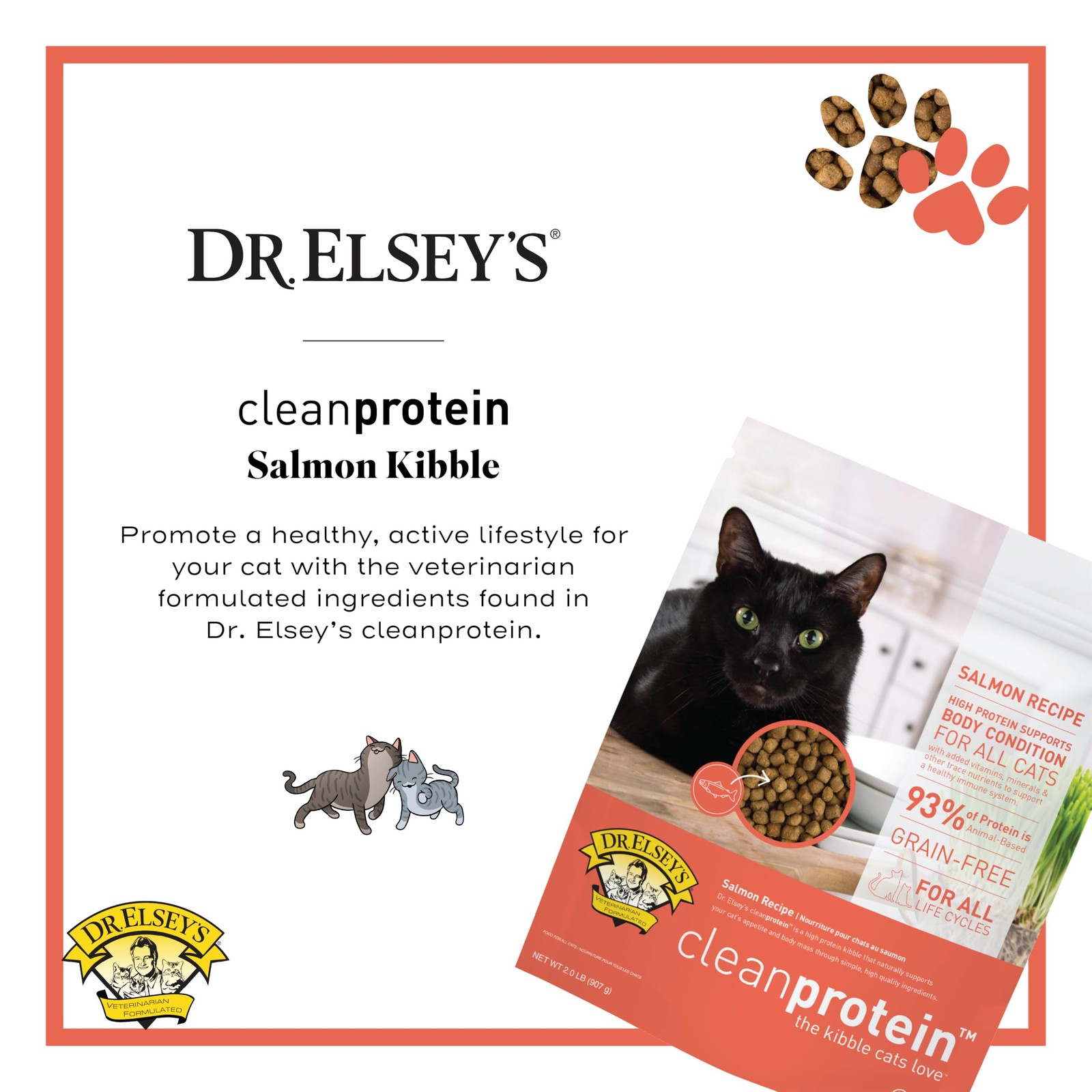 Cleanprotein Salmon Formula Dry Cat Food, 2 Pound Pack of 1