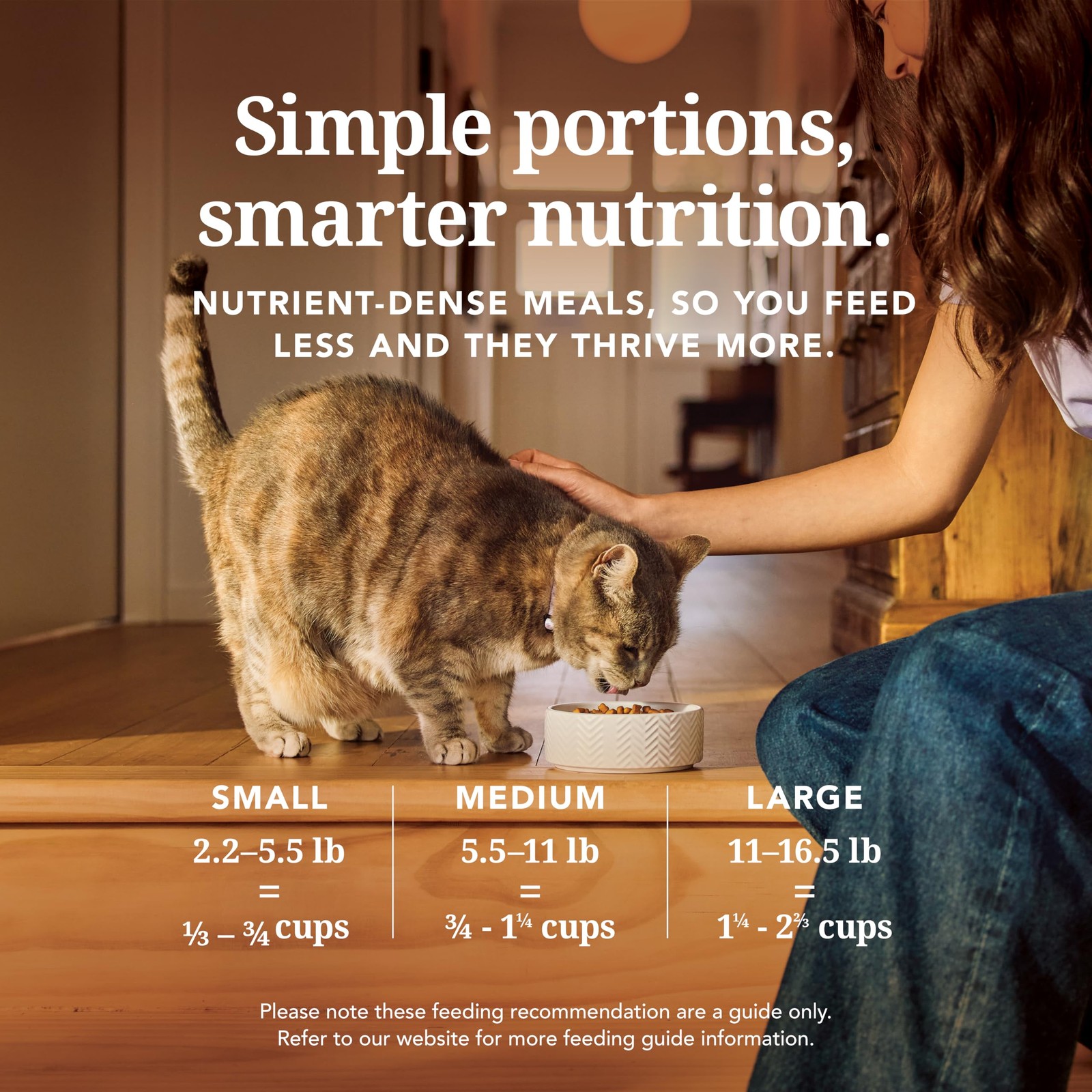 Feline Natural High Protein Dry Cat Food, Freeze-Dried 3.5 Ounce (Pack of 1)