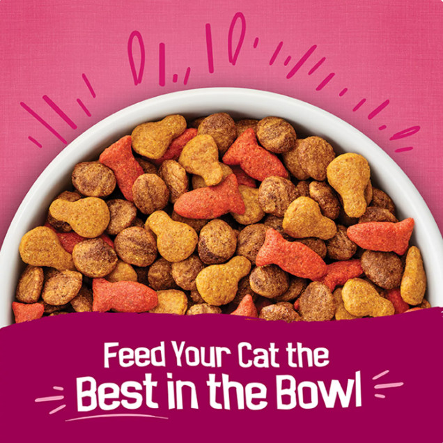 6 packs – Friskies Gravy Swirlers Cat Food – Gravy, Chicken & Salmon, 16lb