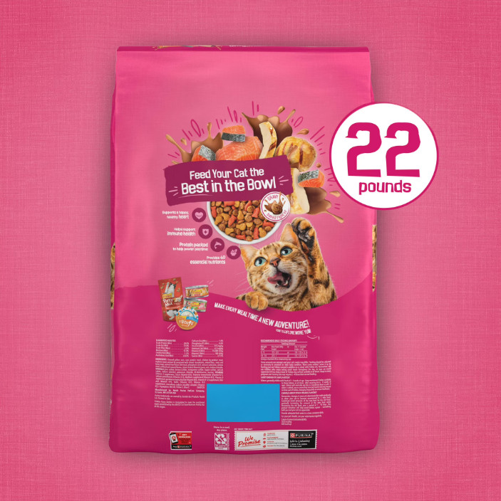 (2 pack) Purina Friskies Gravy Swirlers Dry Cat Food Flavors of Chicken, Salmon
