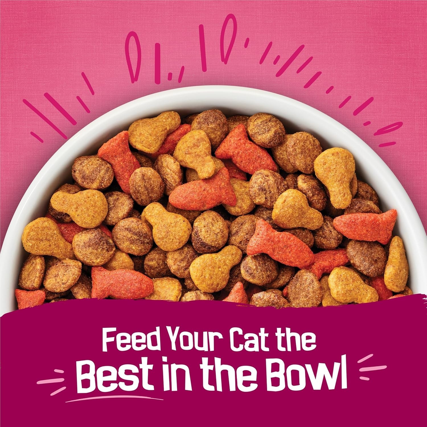 4 Pack Purina Friskies Dry Cat Food Gravy Swirl’d with Flavors of Chicken 16 lb
