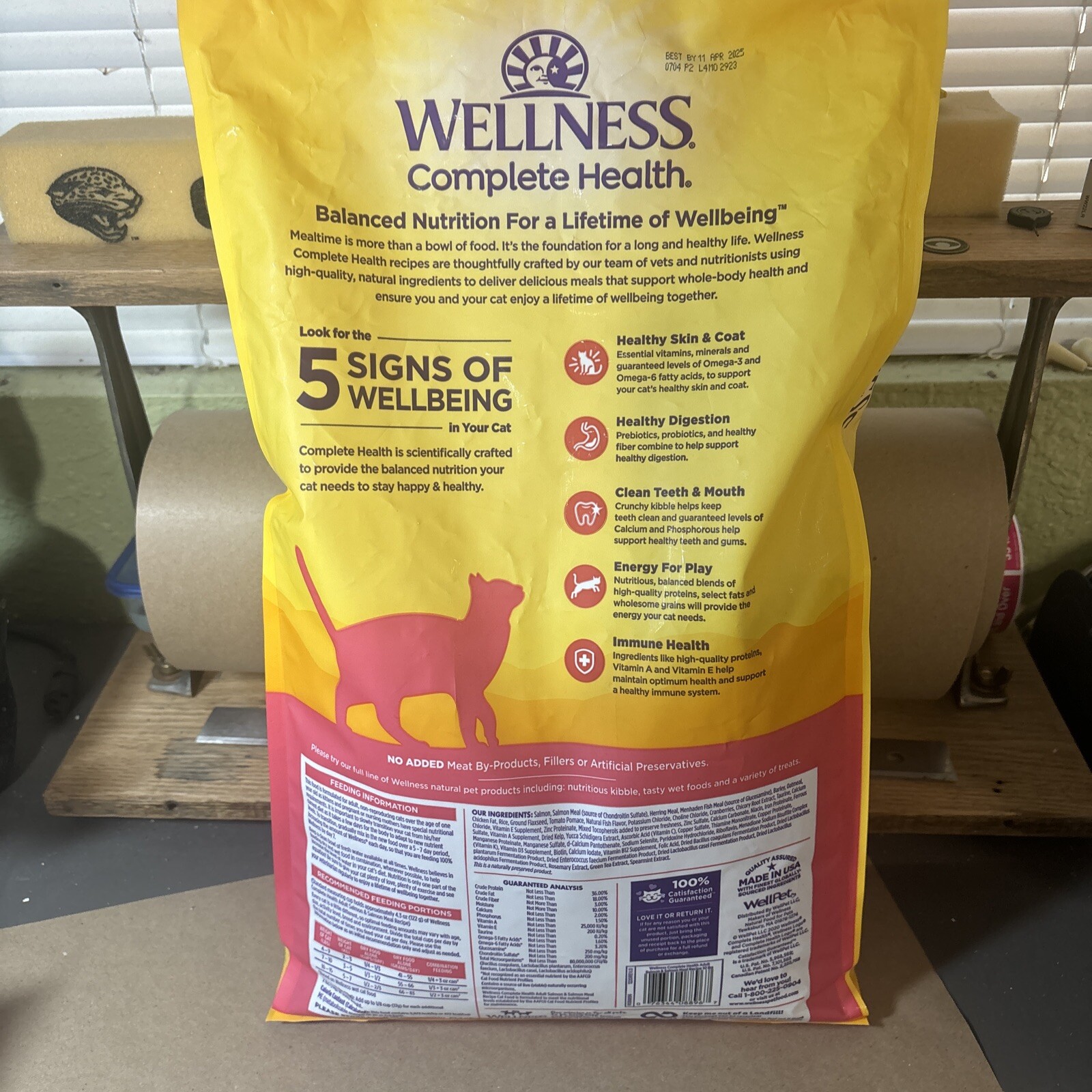 Wellness Complete Health Cat Food 10 Lb Bag NEW Wholesome Grains Salmon/salmon