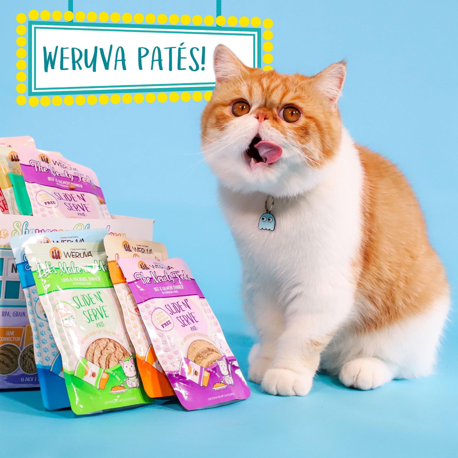 Weruva Wet Cat Food, The Slice is Right with 2.8 Ounce (Pack of 12), Yellow