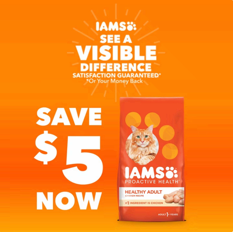 3 Bag Iams Proactive Health Salmon Flavor Dry Cat Food For Adult Cats, 7 Lb Bag