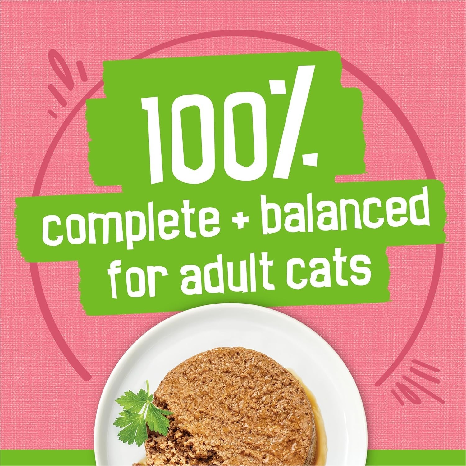 Purina Salmon Wet Cat Food Pate Pack of 24 5.5 oz Cans for Kittens & Adults