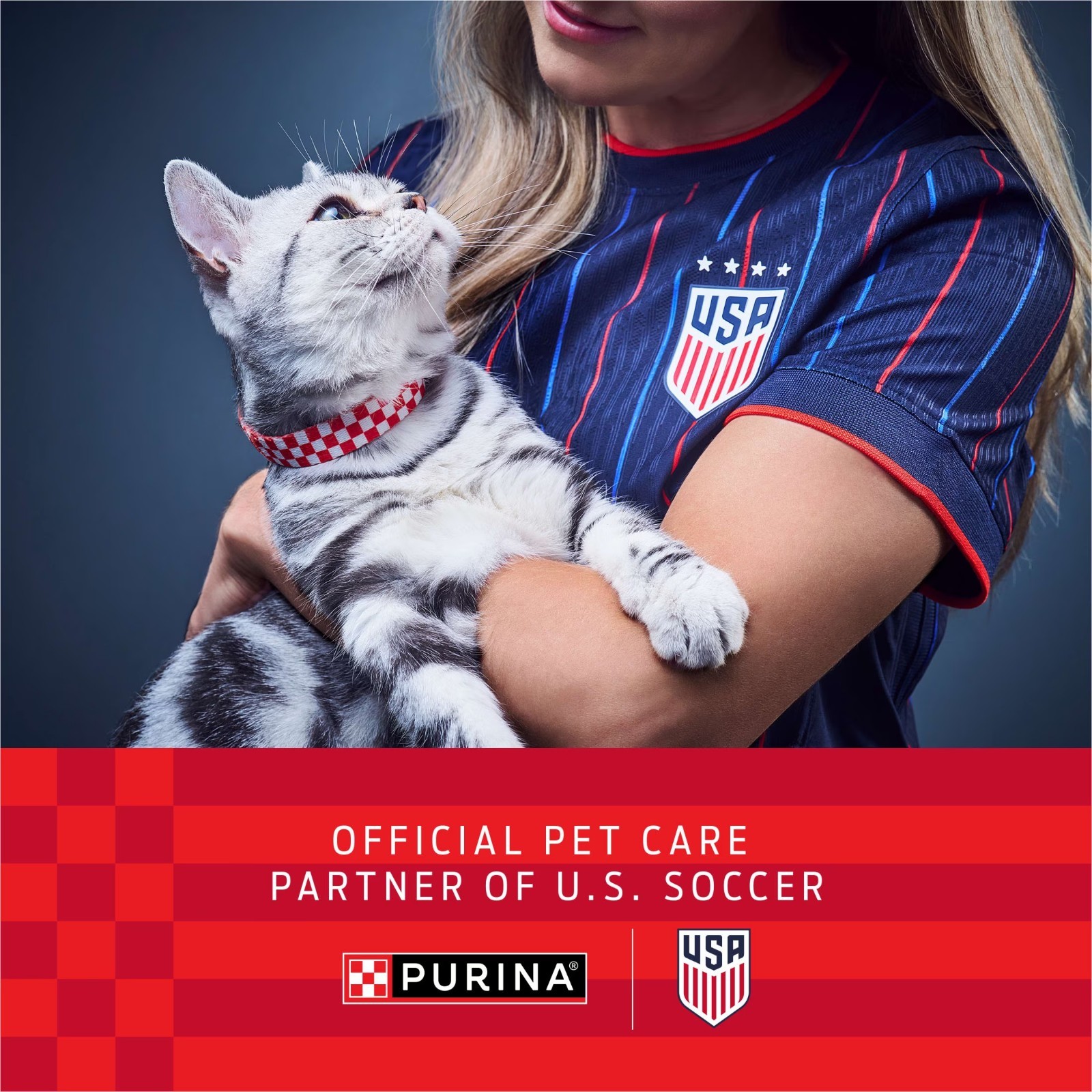 Purina Kit Kaboodle Dry Cat Food 30lb Bag 2-Pack Combo
