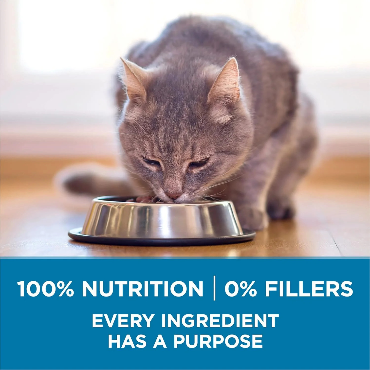 Purina ONE High Protein, Natural Senior Dry Cat Food, Indoor Advantage Senior+ –