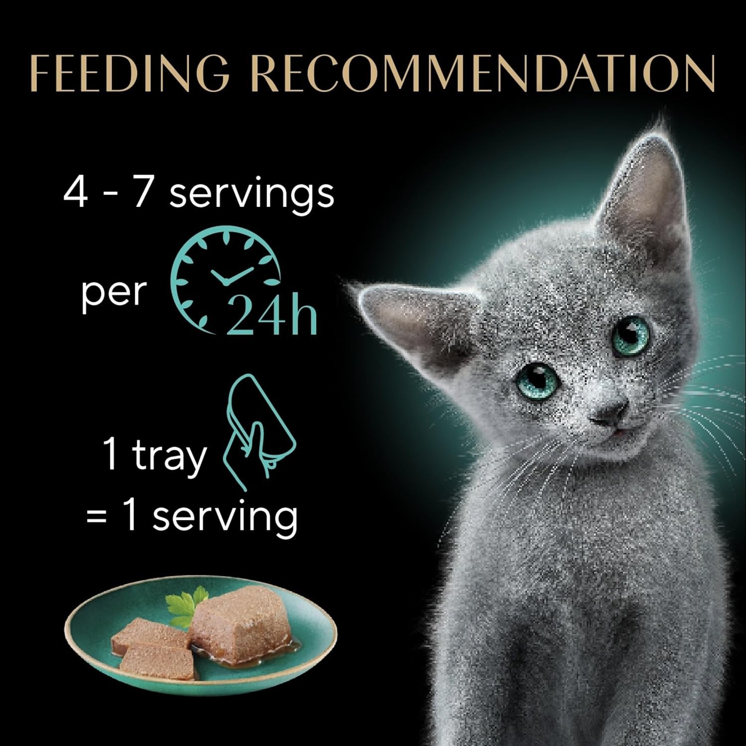 Sheba Kitten Wet Cat Food Pate Chicken Salmon 24ct Twin Pack 2pk Free Shipping