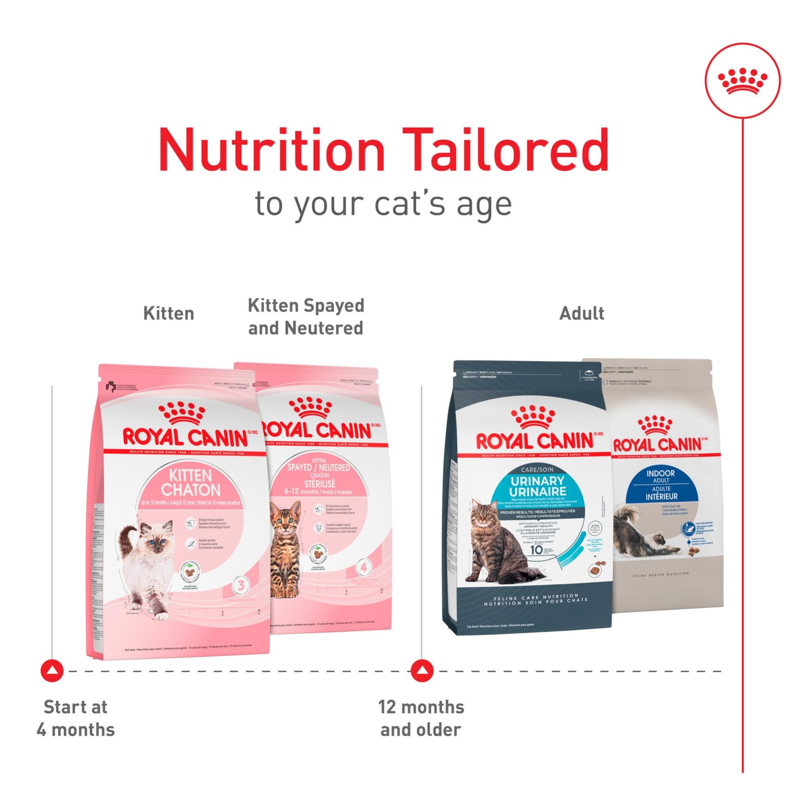 Royal Canin Feline Health Nutrition Kitten Dry Cat Food, 7 lb Bag