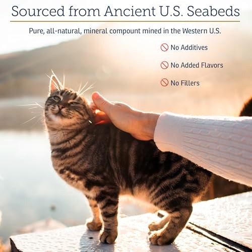 Rx Vitamins Feline Minerals – Taurine Cat Supplement