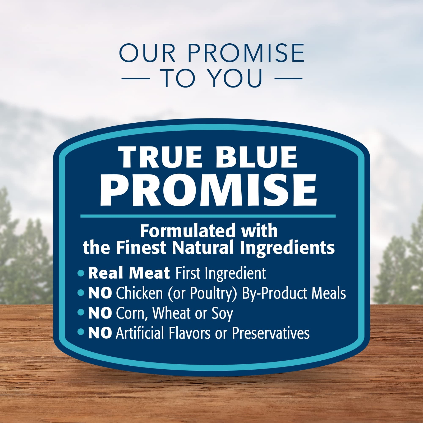 BLUE Wilderness High Protein Grain Free Canned Cat Food Variety Pack 12 Count