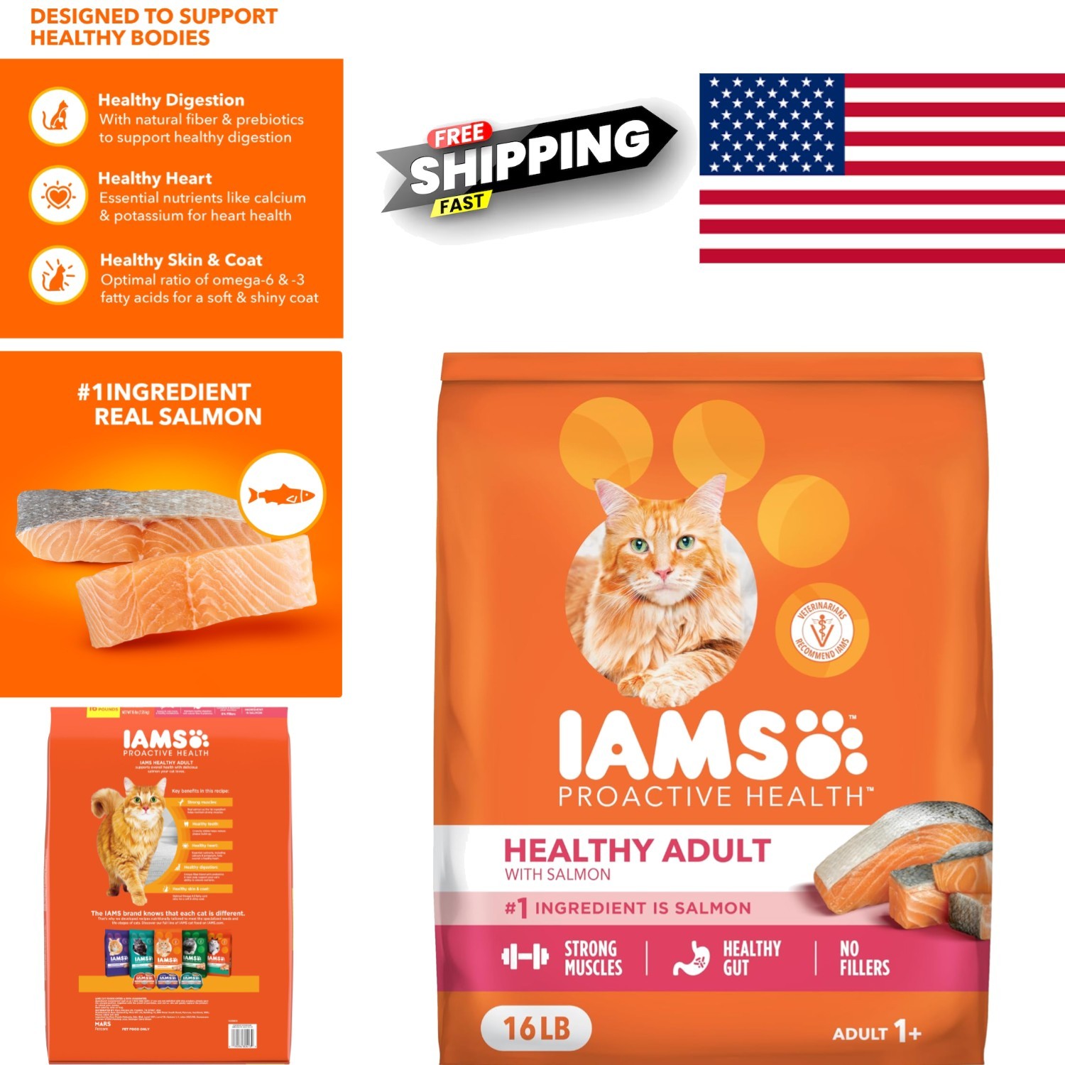 Healthy Dry Cat Food with Salmon 16 Pounds Kibble for Skin and Coat Nourishment