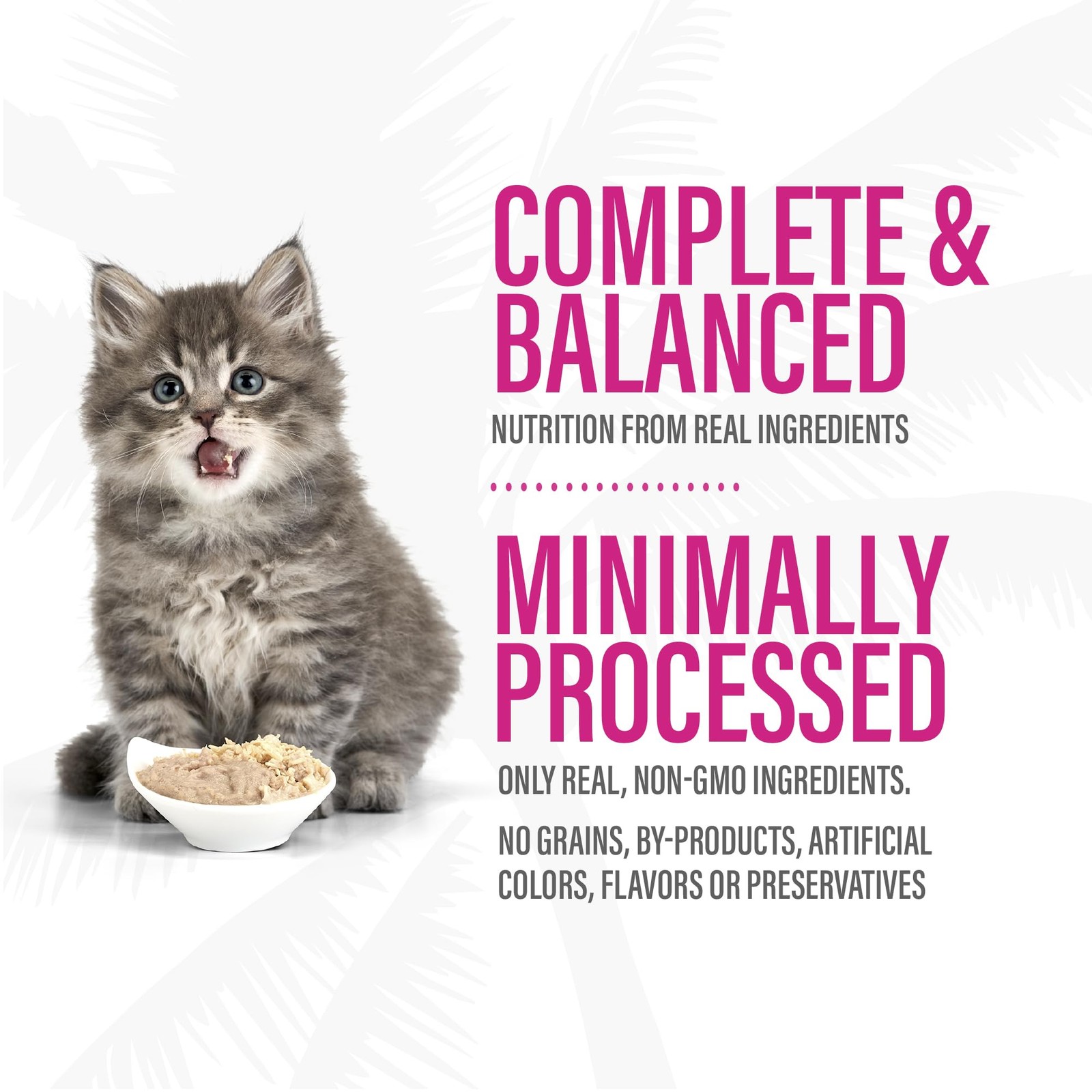 Tiki Cat Baby Pate Wet Food for Kittens Variety 1.8 Pound (Pack of 1)