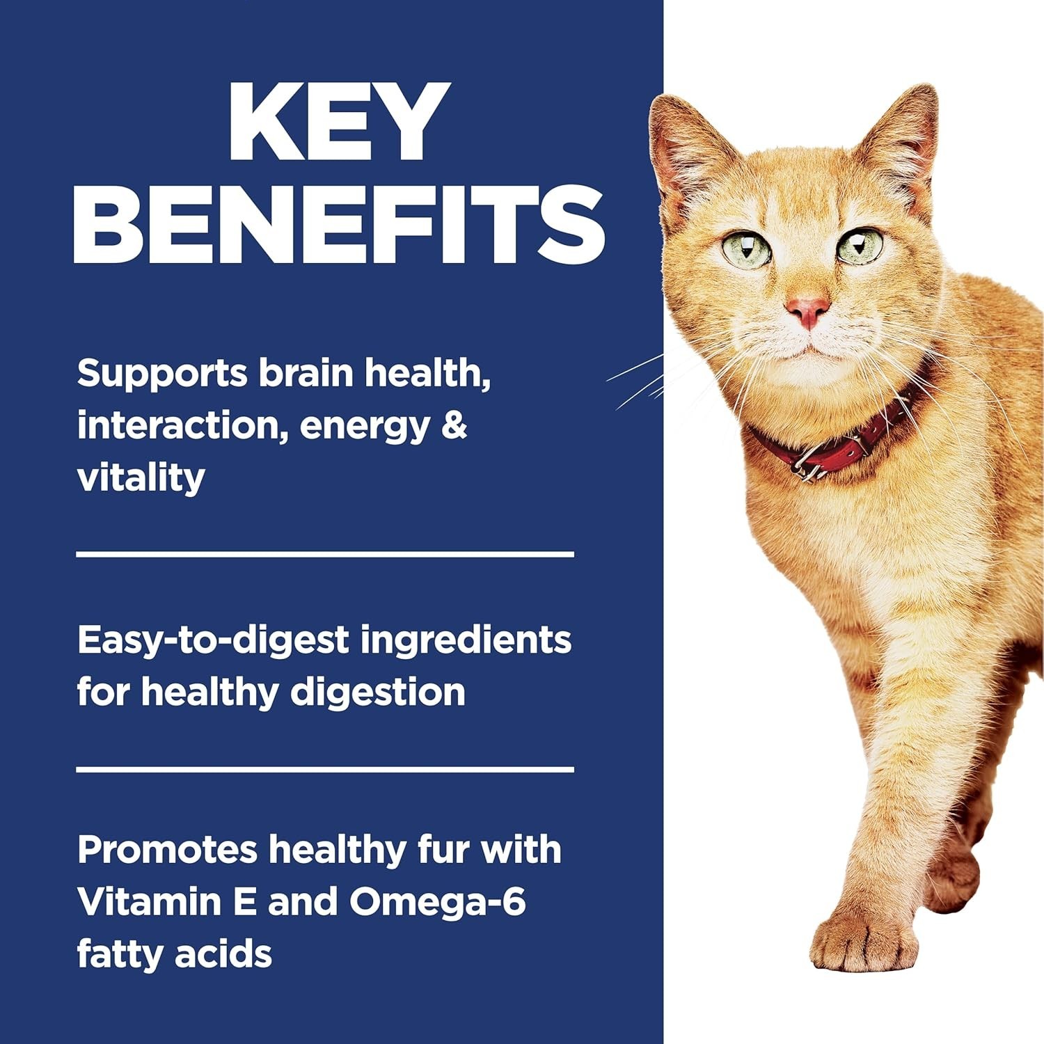 Hill’s Science Diet Senior Vitality Adult Senior 7+ Dry Cat Food- Chicken. 12 Lb