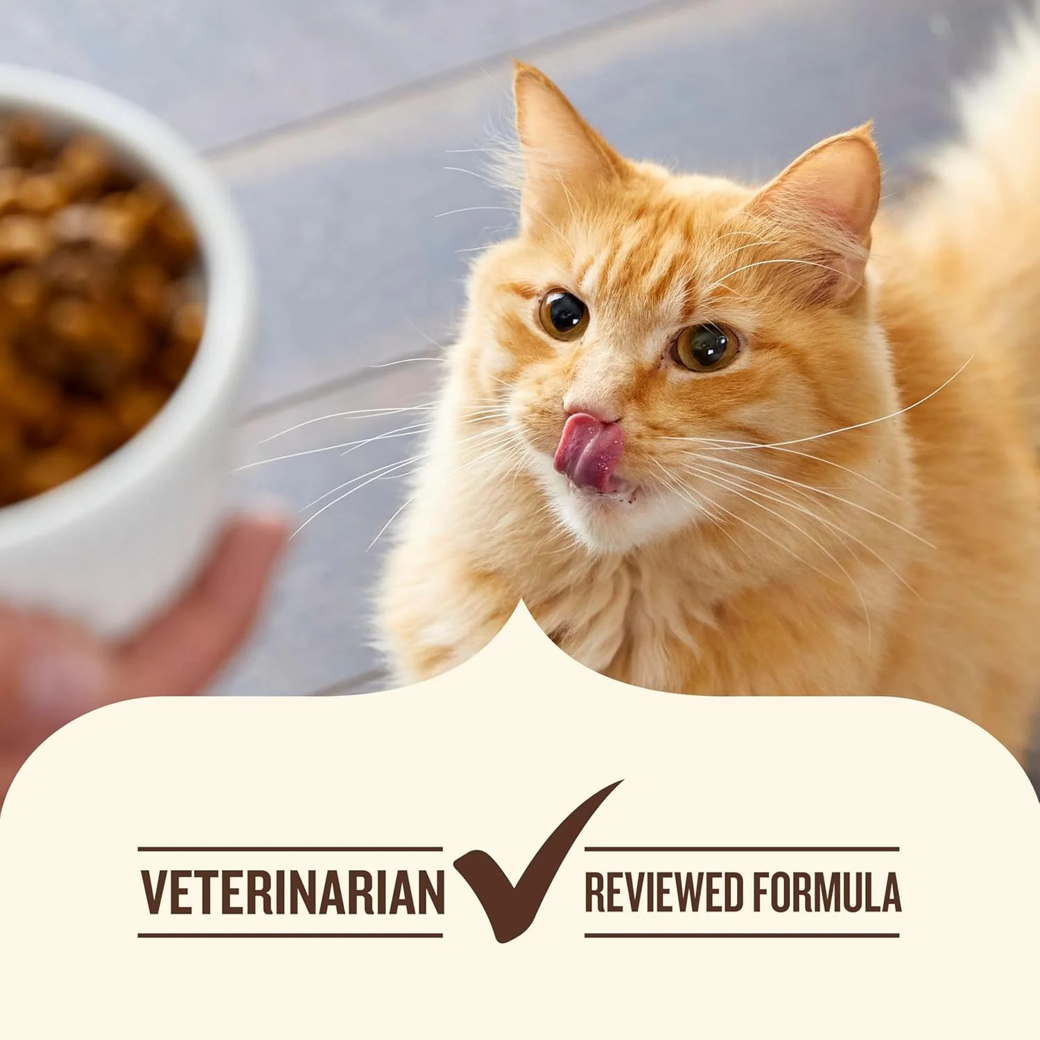 Nutrish Indoor Complete Chicken, Lentils & Salmon Recipe Dry Cat Food, 6 lb. Bag