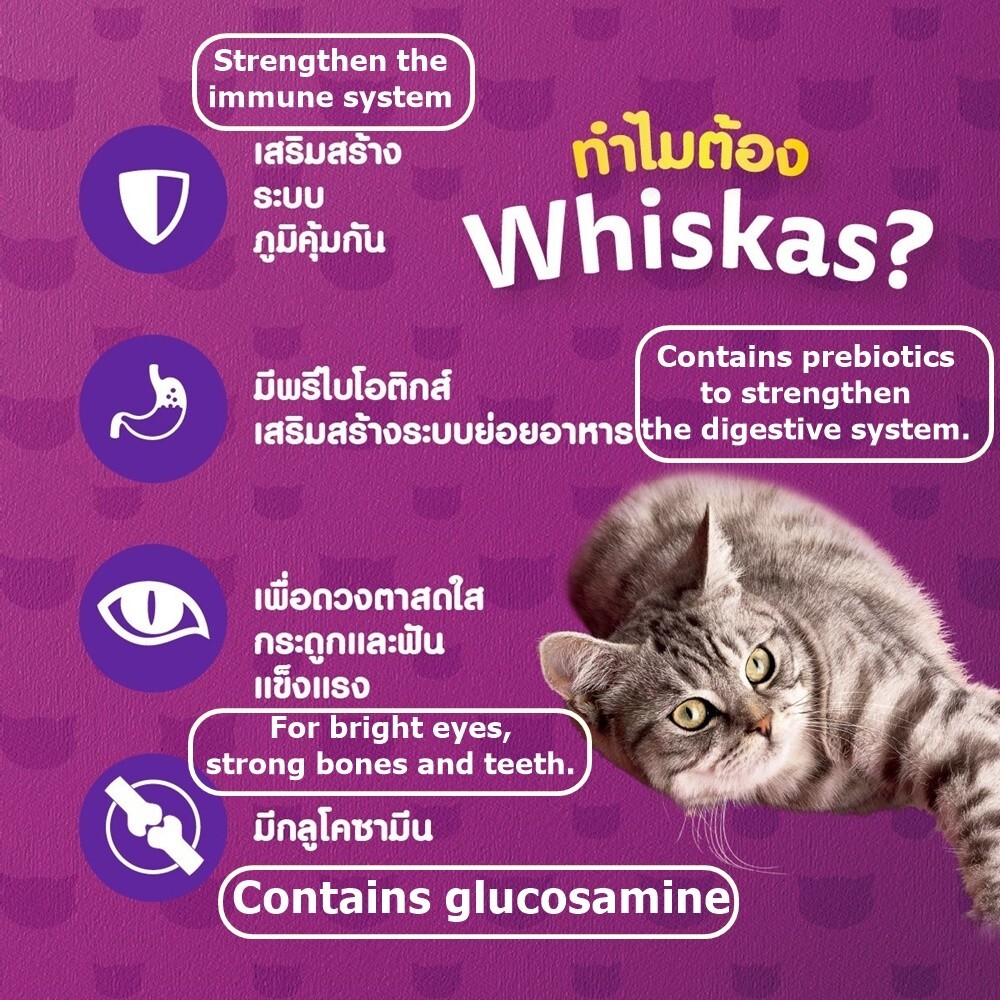 Whiskas Dry Food Senior Cat 7+ Years Mackerel Flavor 1.1 kg (2.425 lbs)