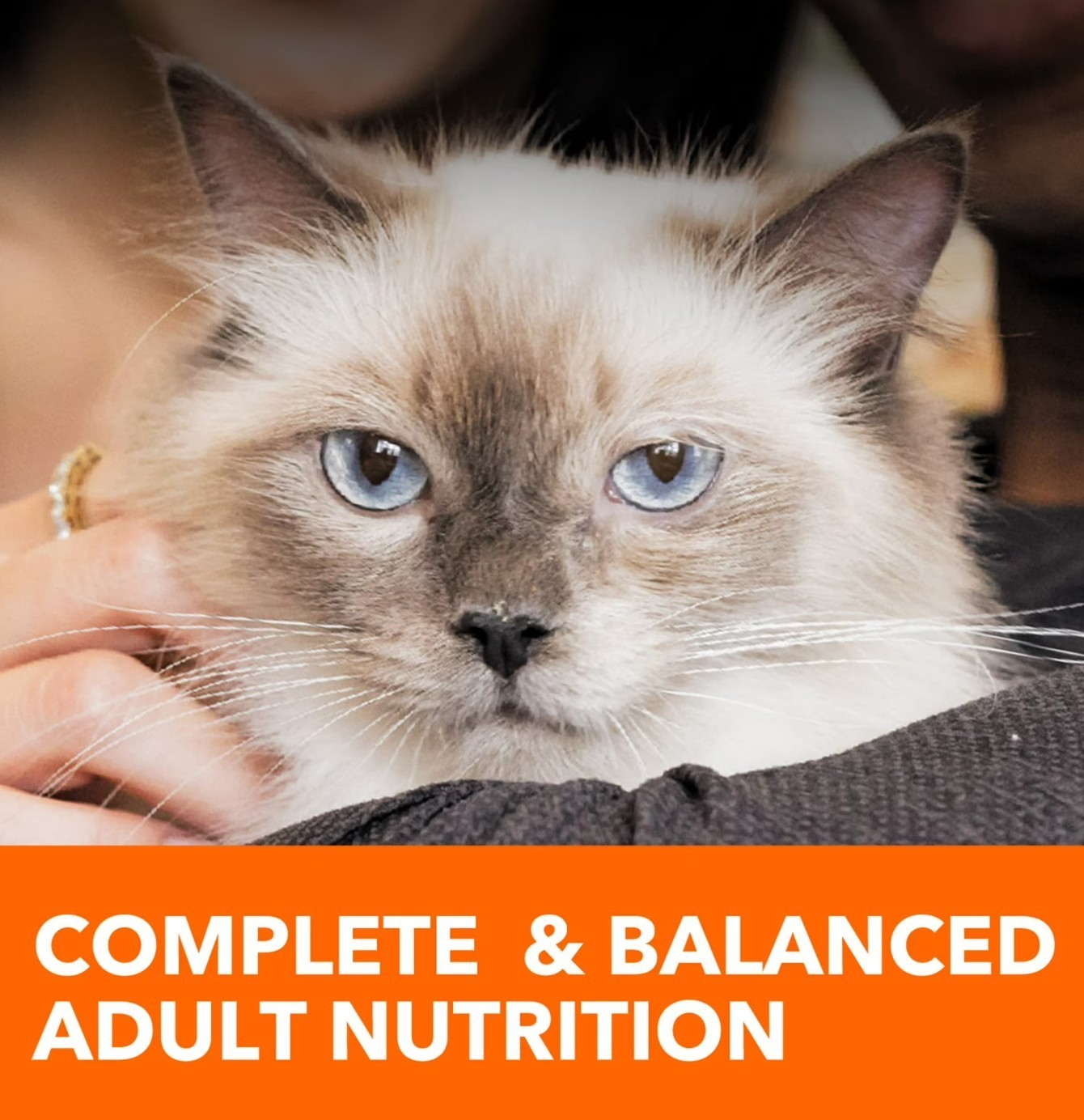 Iams Proactive Health Chicken And Turkey Dry Cat Food, 22 Lb Bag