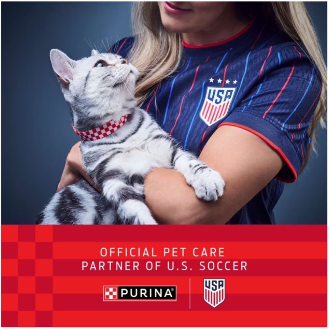 (2 pack) Purina Kit & Kaboodle Original, Indoor Dry Cat Food, 30 lb Bag