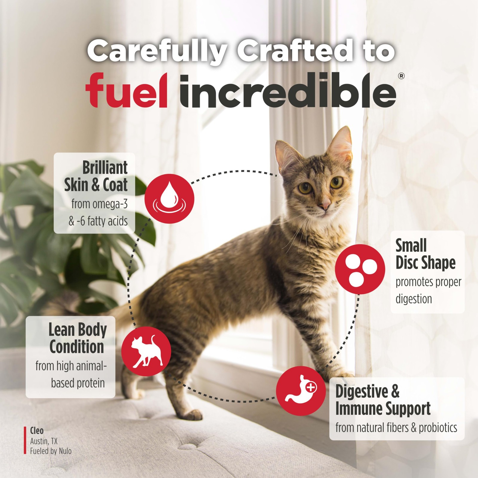 Nulo Freestyle High Protein Cat & Kitten Food, Turkey & 4 Pound (Pack of 1)