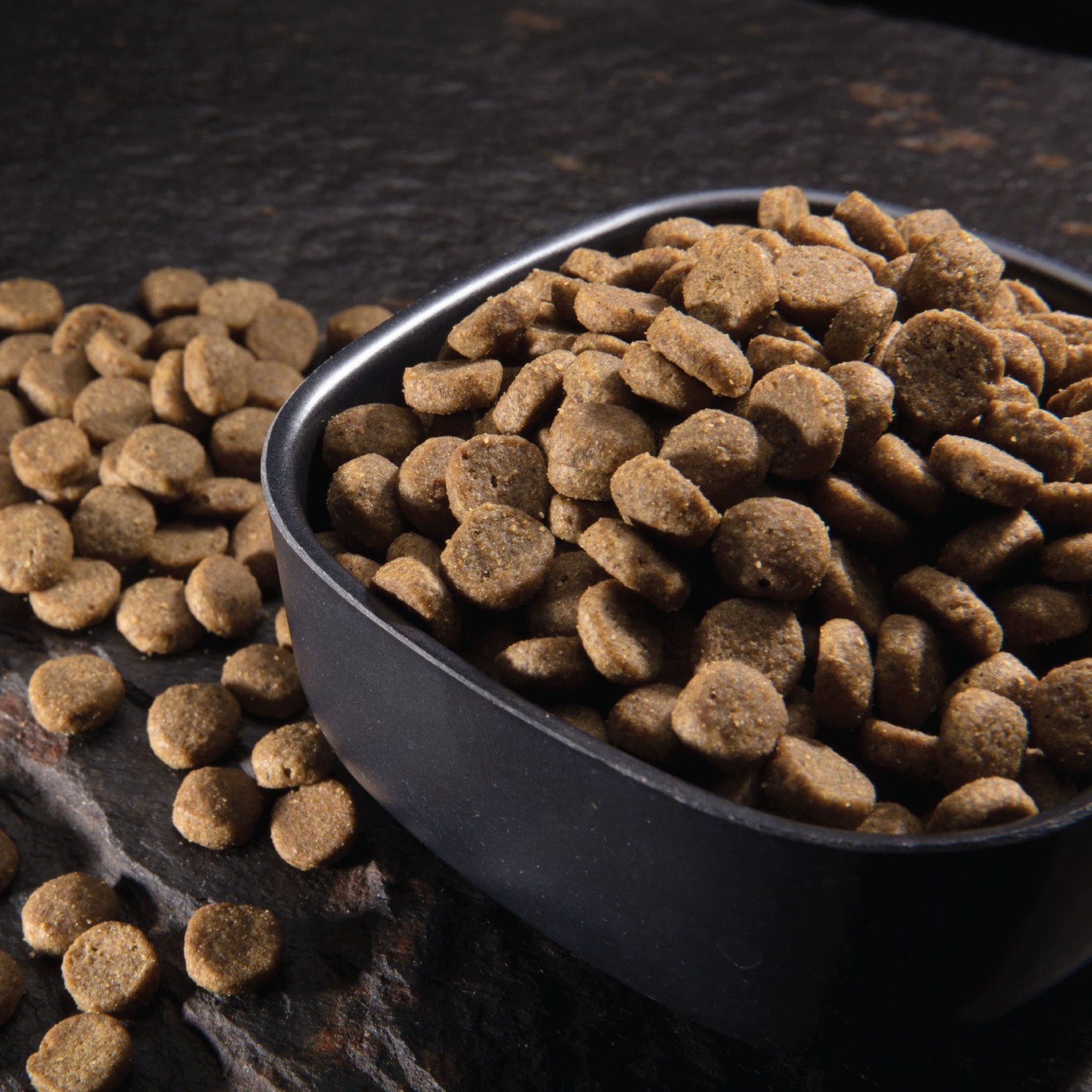 Crave Grain Free Indoor Natural Dry Cat Food With High Protein From Chicken & Sa