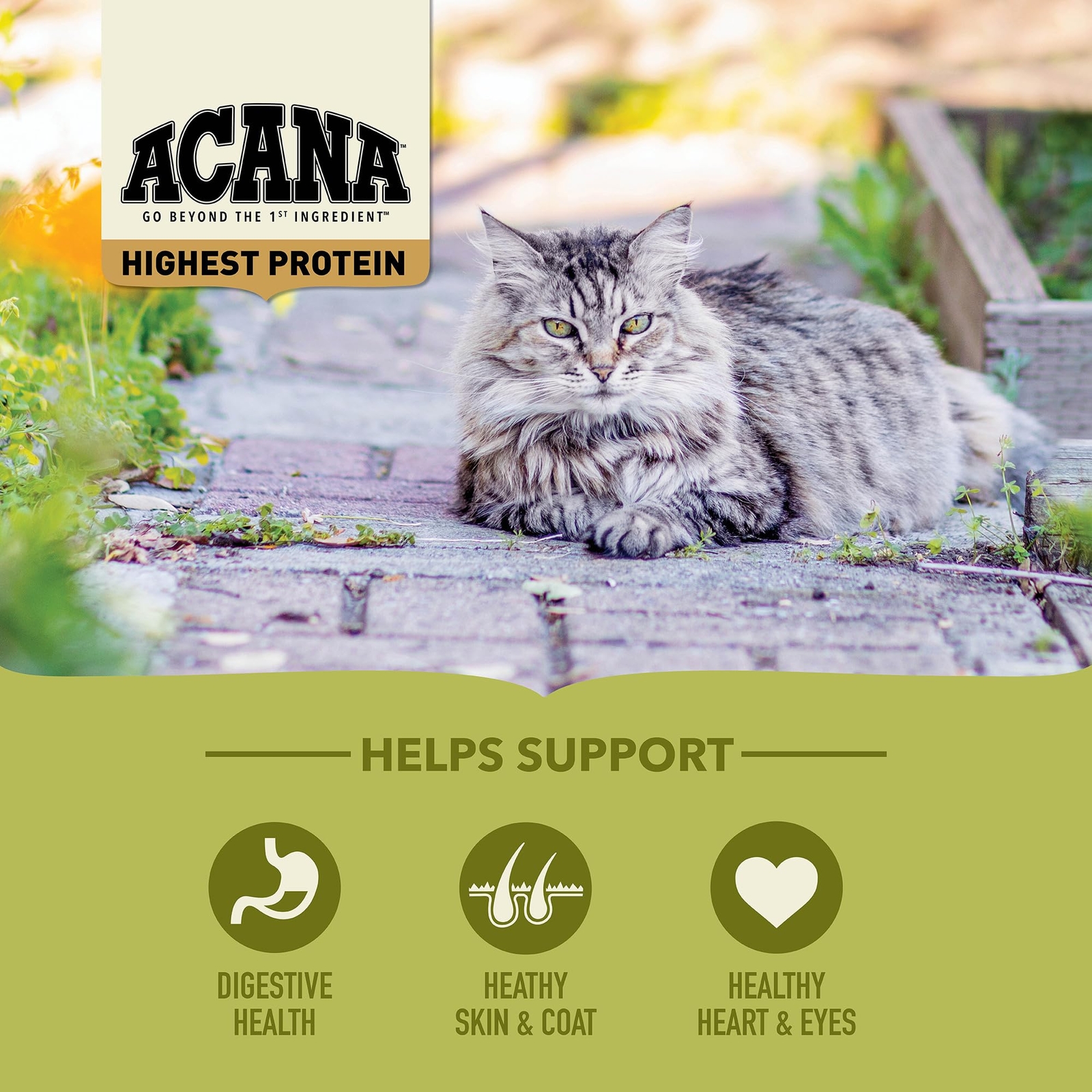 ACANA Highest Protein Grasslands Grain Free Dry Cat Food 10 lb Bag