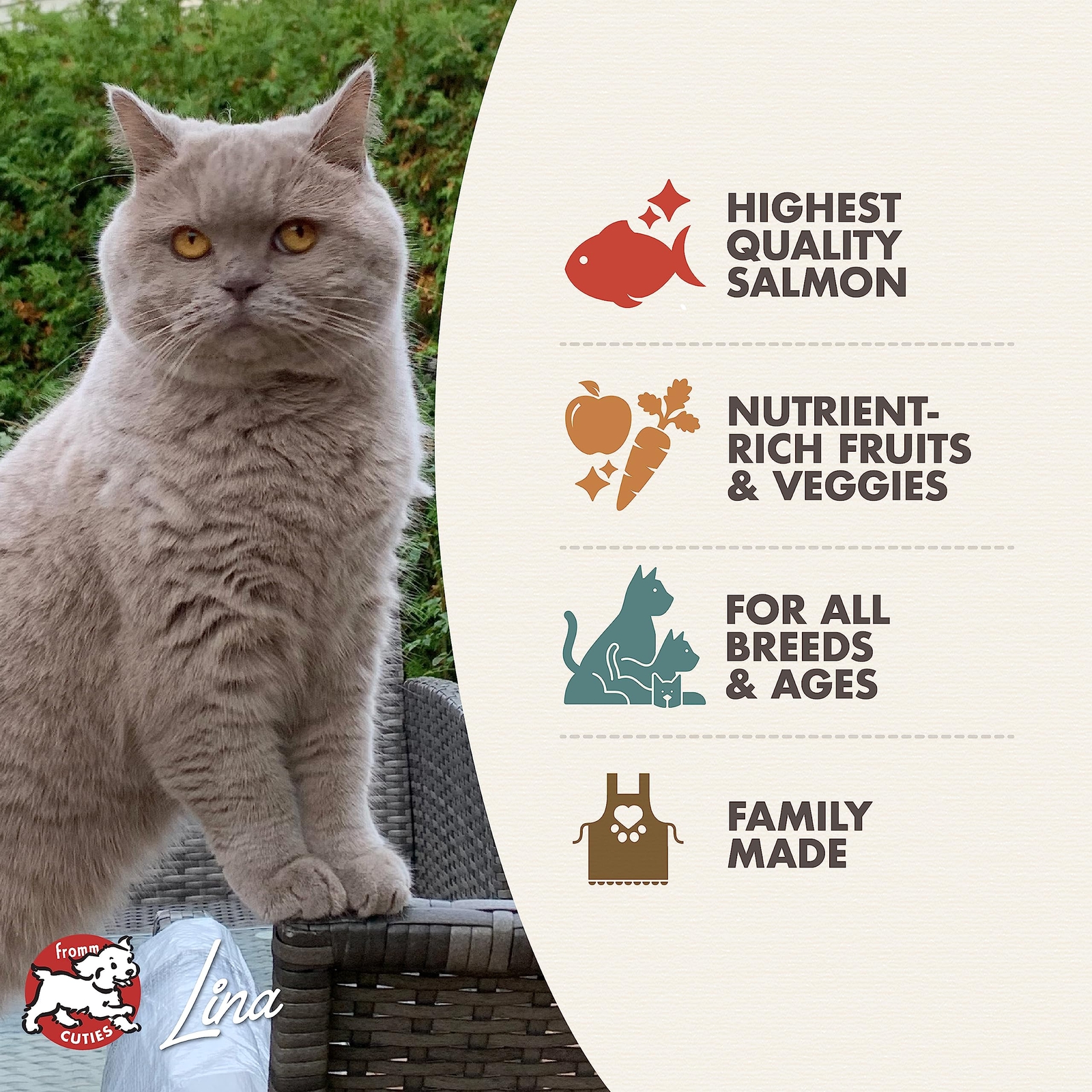 High-Quality Salmon Dry Cat Food 4 lb All Breeds and Ages Fromm Family Foods