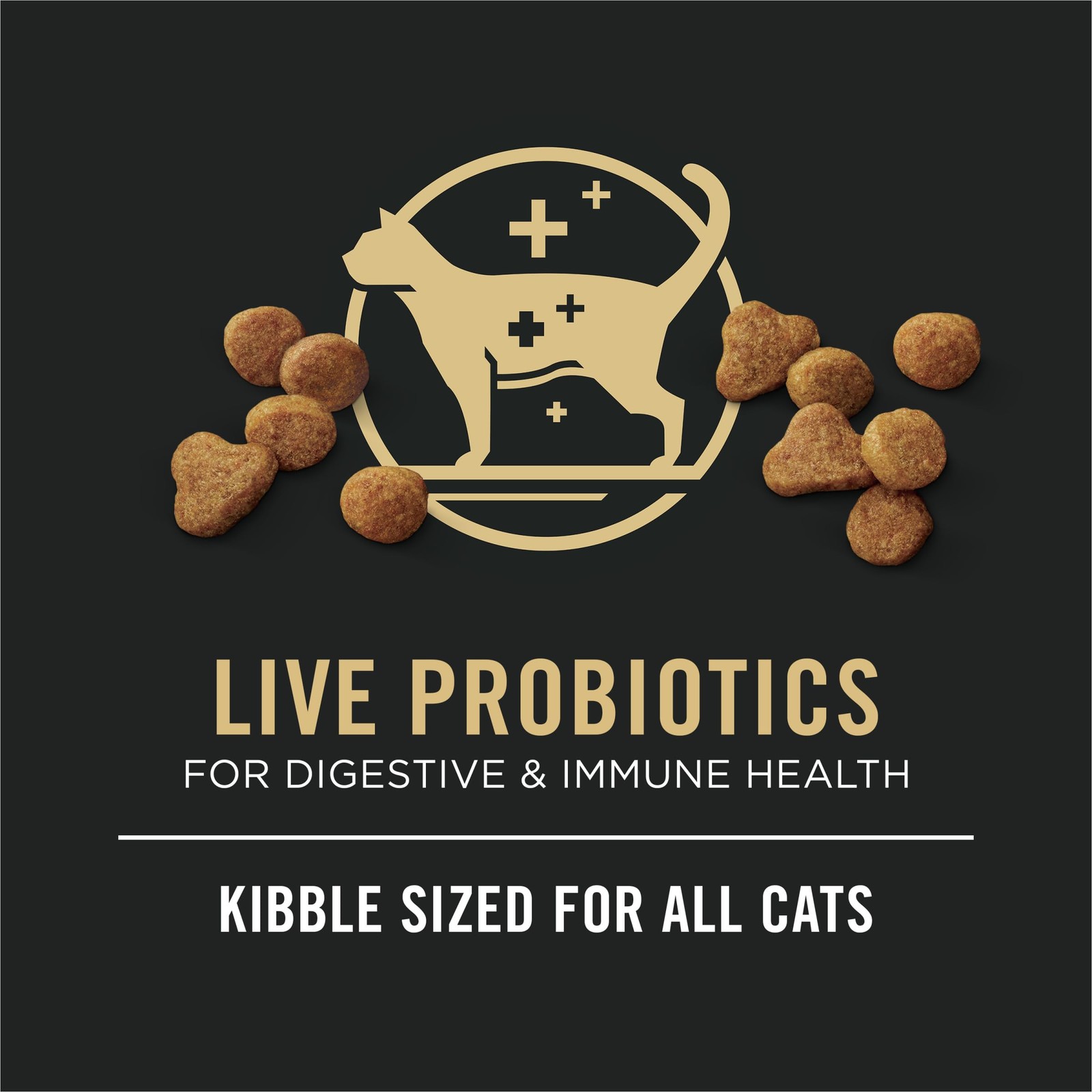 Purina Pro Plan All Life Stages High Protein Cat Food 5.5 Pound (Pack of 1)