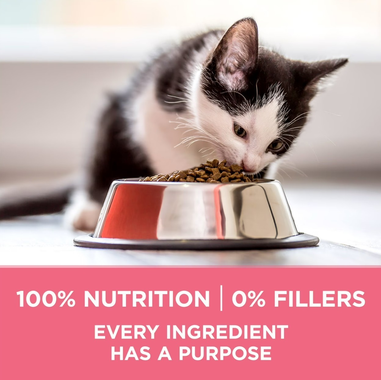 Purina ONE Plus, Healthy Kitten Formula, Dry Kitten Food, Chicken, 16 lb Bag