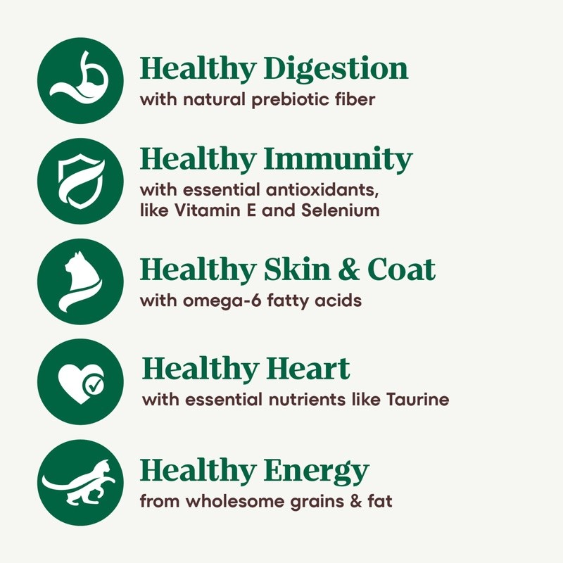 Senior Cat Food Dry Kibble Chicken Brown Rice Prebiotic Fiber Immunity Support
