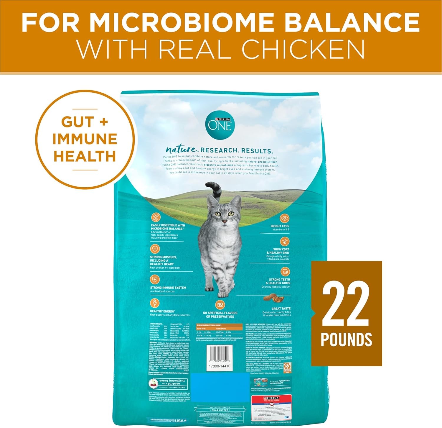 Purina ONE Natural Dry Cat Food, Tender Selects 22 Pound (Pack of 1), Other