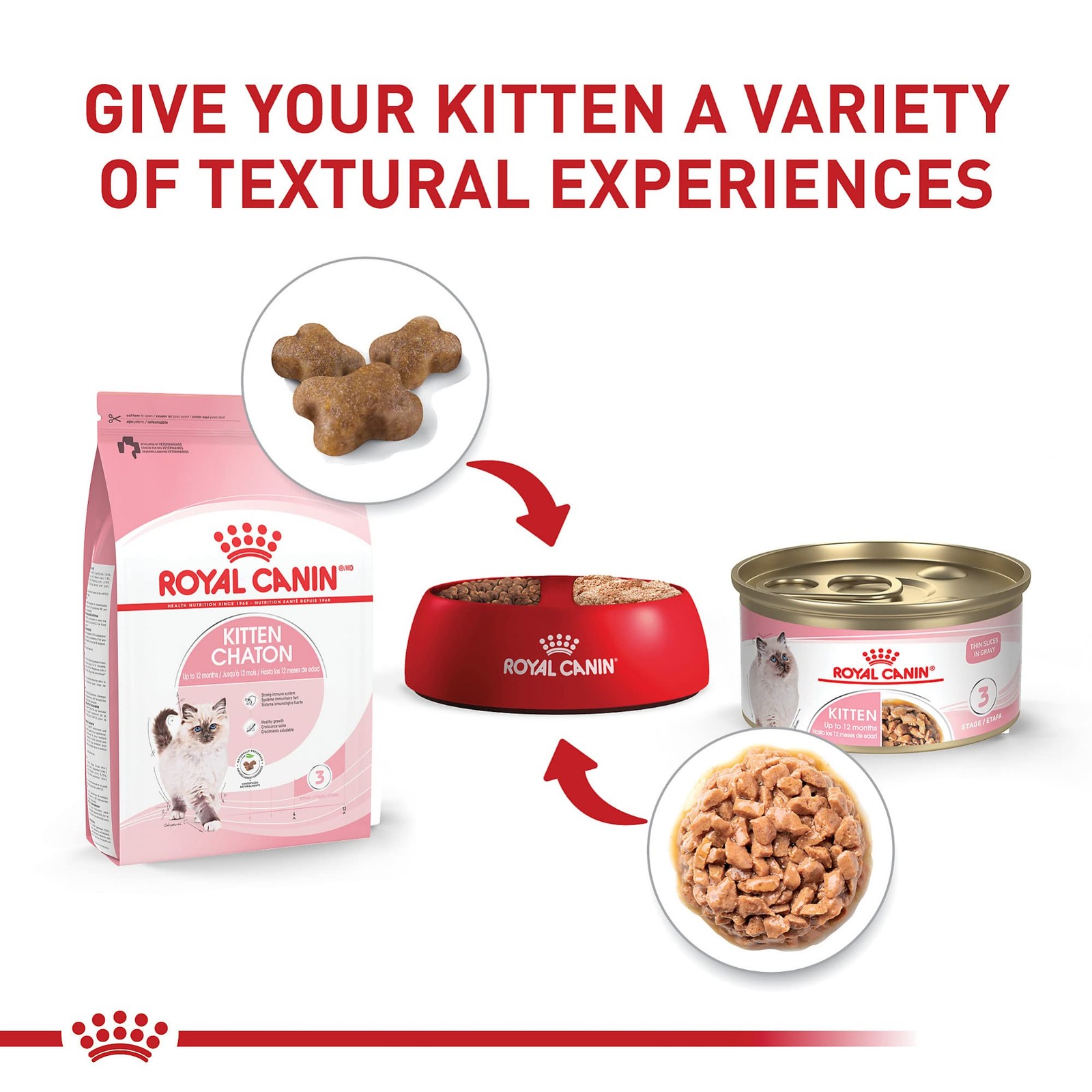 Royal Canin Feline Health Nutrition Kitten Thin Slices 3 Ounce (Pack of 12)