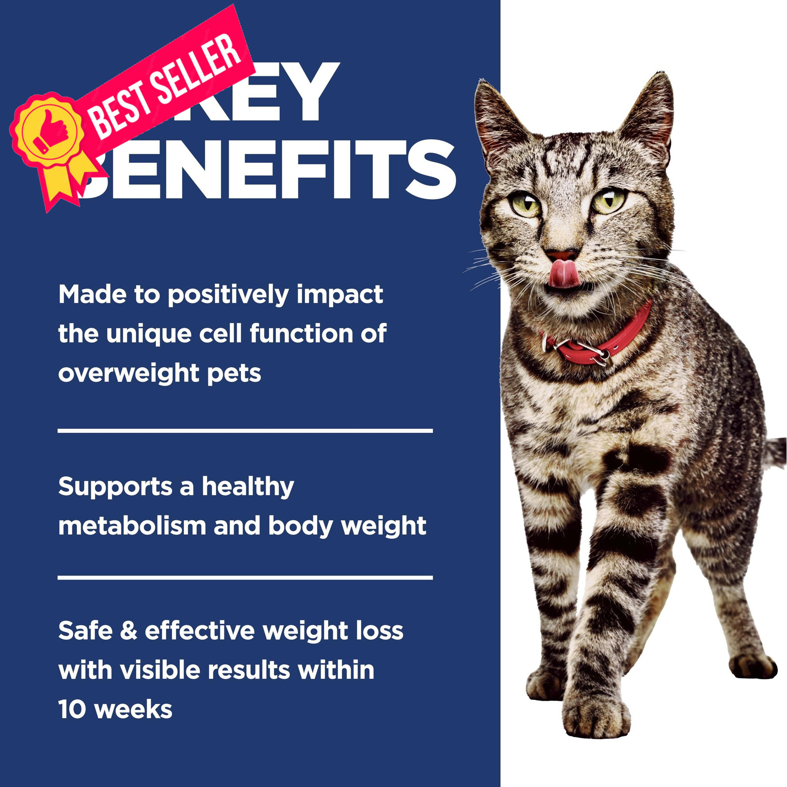 Hill’s Science Diet Adult Perfect Weight Dry Cat 7 Pound (Pack of 1), White