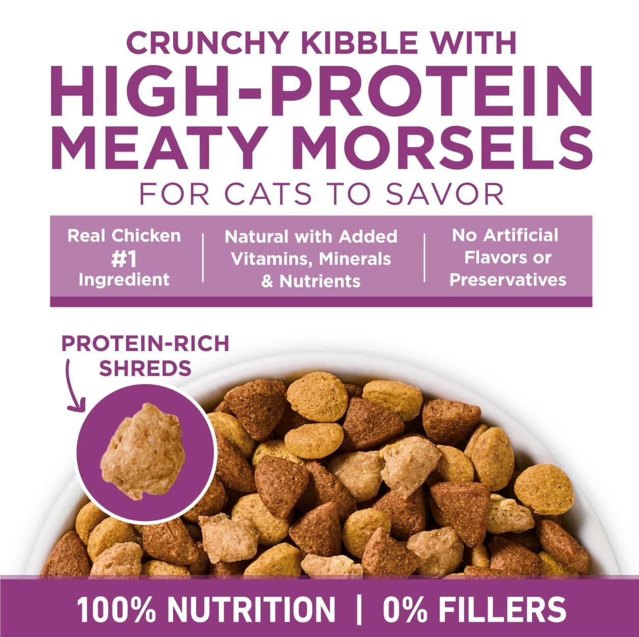 Purina ONE Plus Whole Body Support With Chicken Dry Cat Food, 22 lb