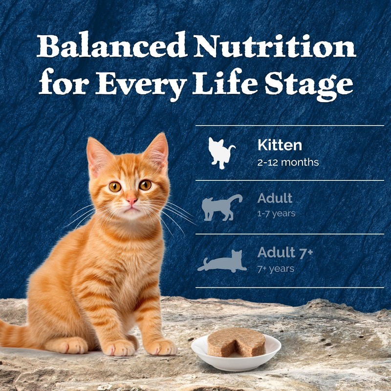 Blue Buffalo Wilderness High Protein Grain-Free Kitten Pate Wet Cat Food