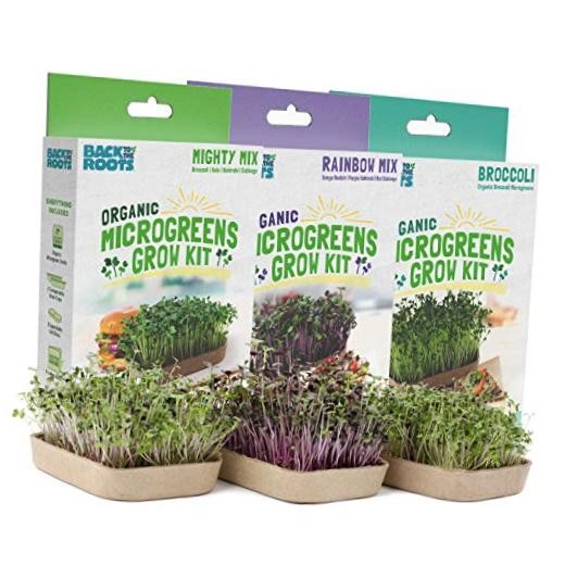 50041 DIY 6-Grow Variety Pack Organic Microgreens Kit, Indoor Gardening