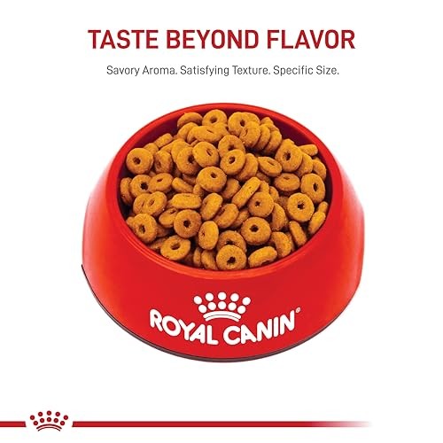 Royal Canin Feline Care Nutrition Digestive Adult 3 Pound (Pack of 1)