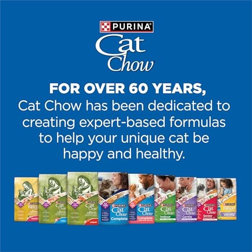Purina Cat Chow Complete High Protein Dry Food 3.15 Pound (Pack of 4)