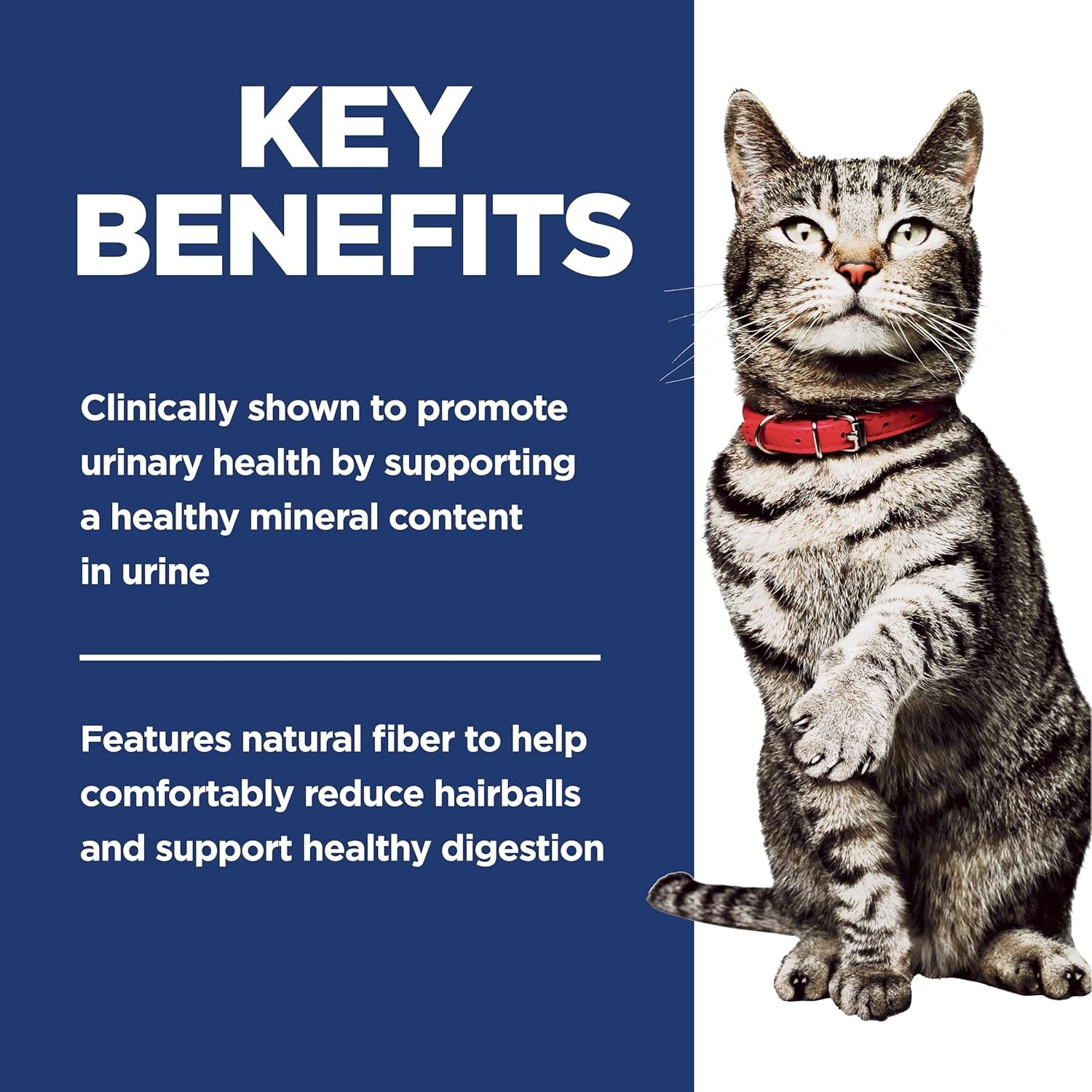 Hill’s Science Diet Adult Urinary & Hairball Control Chicken Dry Cat Food 15.5lb