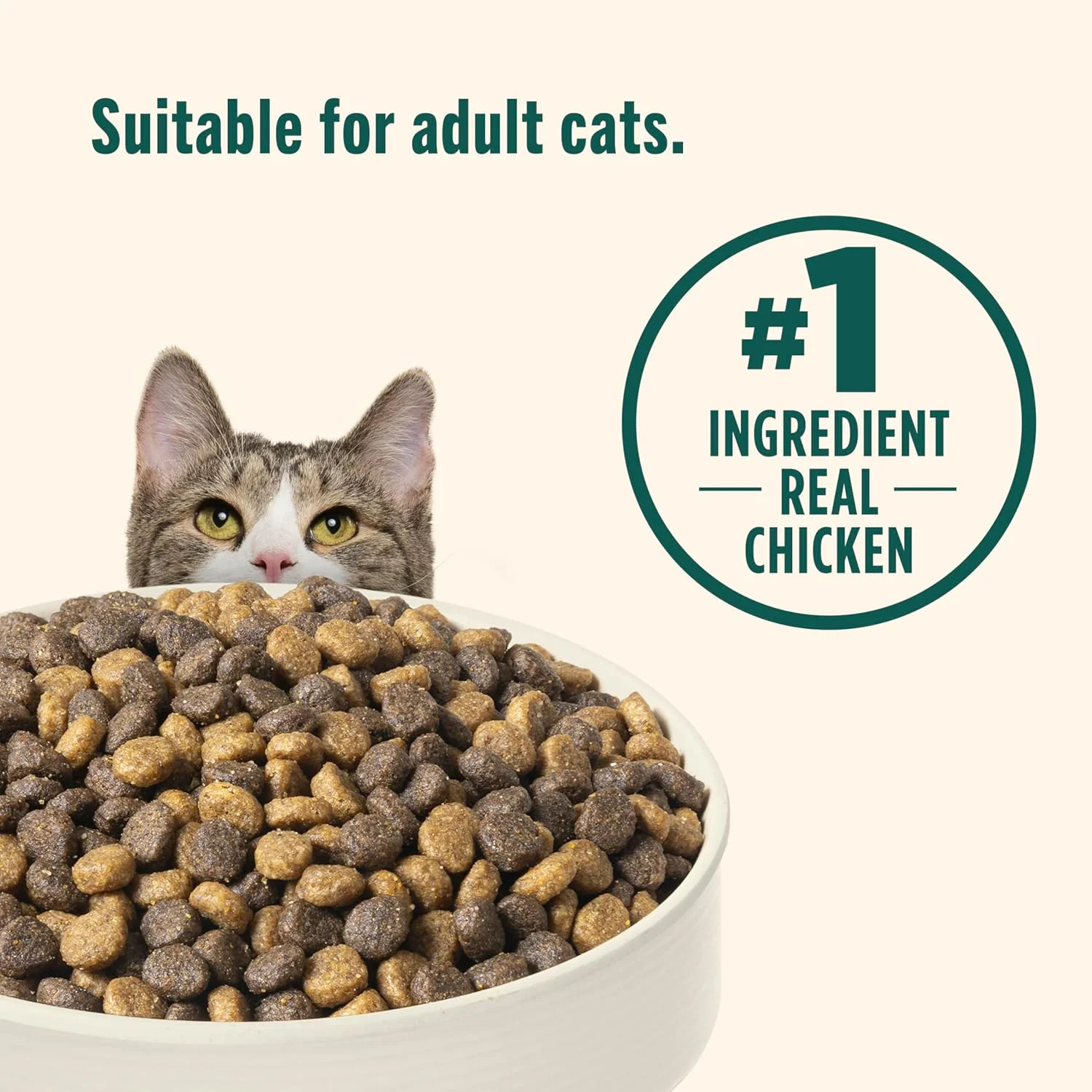 Nutrish Indoor Complete Chicken, Lentils & Salmon Recipe Dry Cat Food, 6 lb. Bag