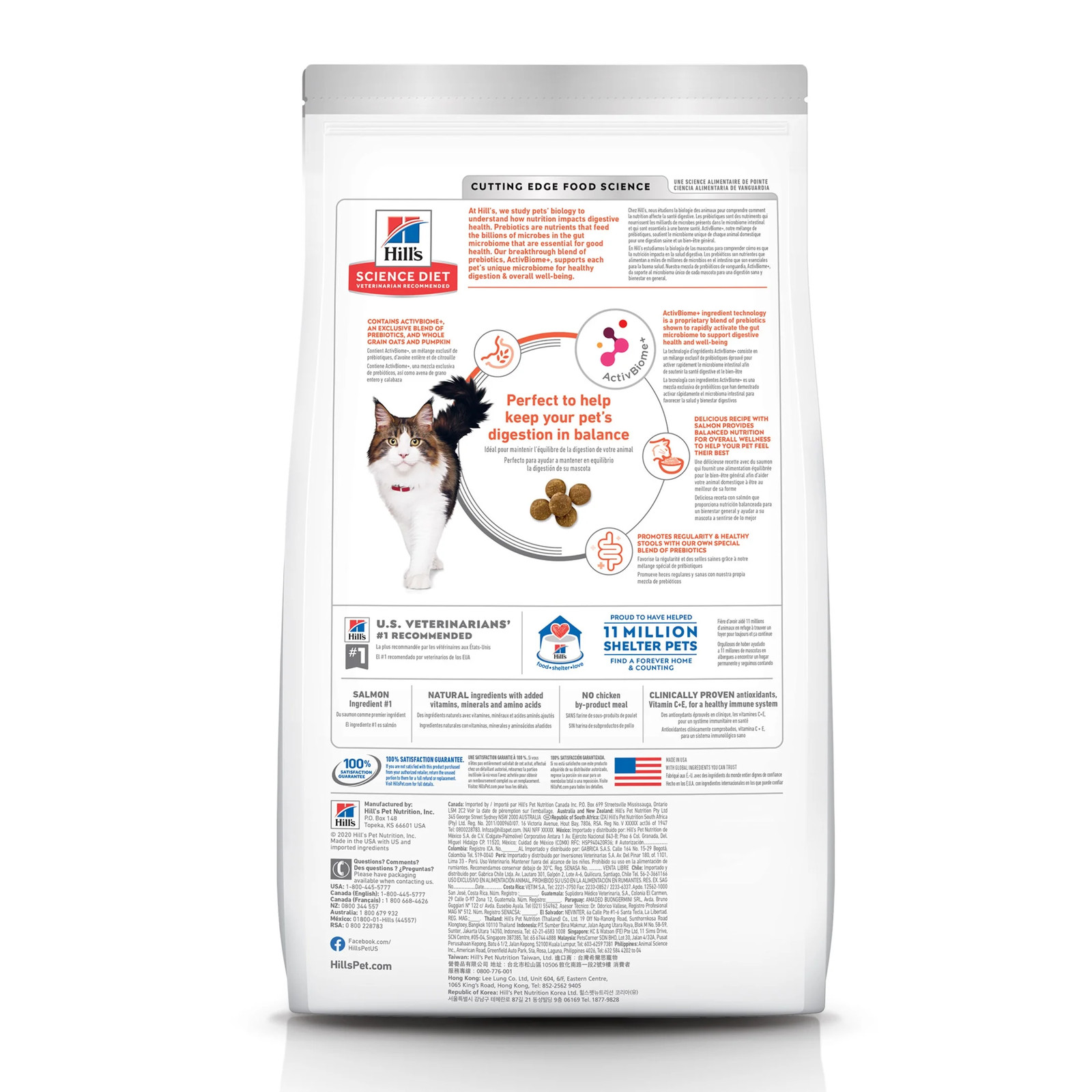 Perfect Digestion Whole Grain Salmon, Rice & Oats Dry Cat Food, 6Lb Bag