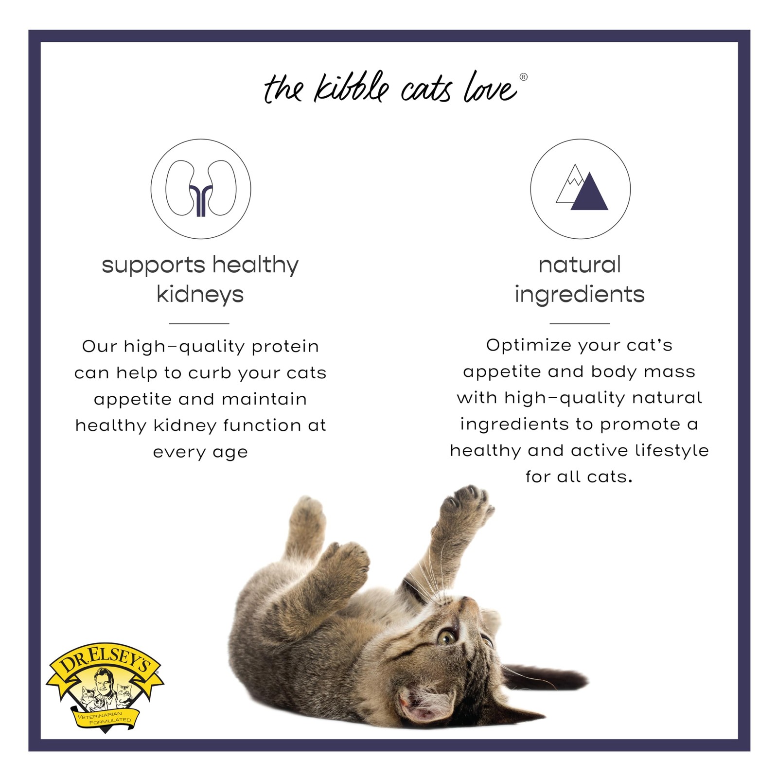 Dr. Elsey’s Cleanprotein Grain Free High Protein, Low Carb Dry Cat Food, Chicken