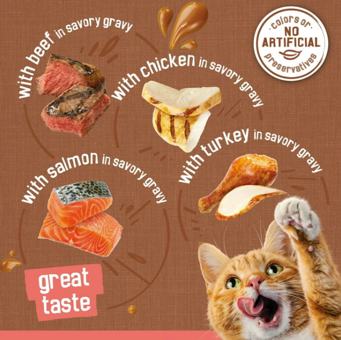 (48 pack) Purina Friskies Extra Chunky Gravy Variety Pack, Wet Cat Food, 5.5 oz