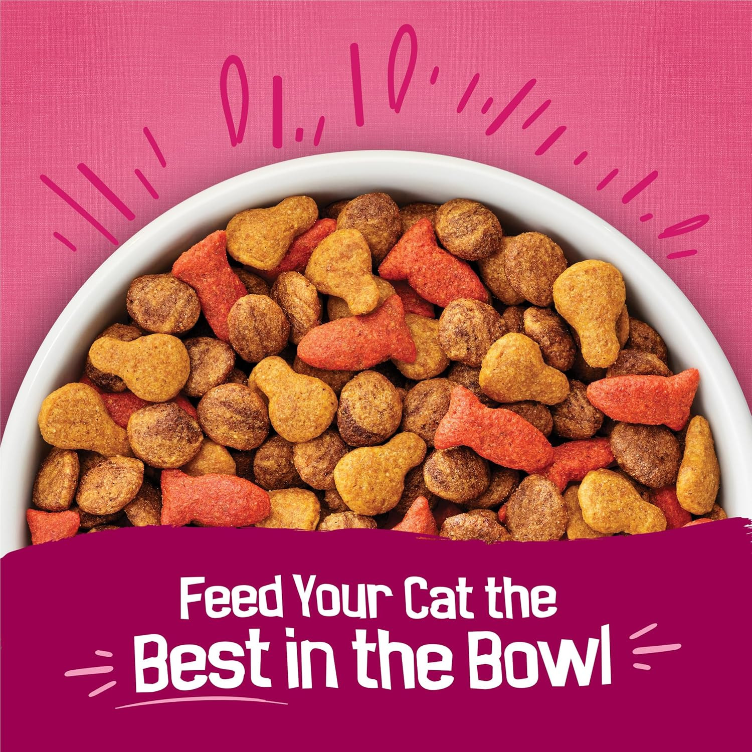 Purina Friskies Gravy Swirlers with Flavors of Chicken, Salmon and Gravy Dry Cat
