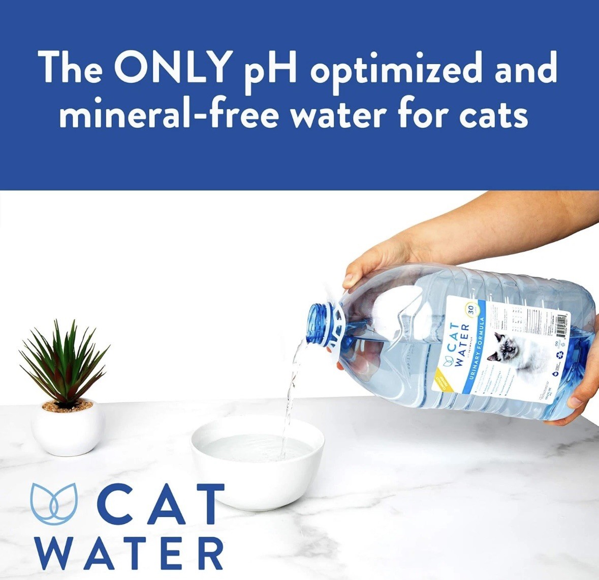 2pc CATWATER by VETWATER Ph-Balanced and Mineral-Free Cat Water Expiration 2028